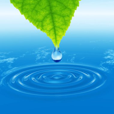 Kavram ya da kavramsal temiz kaynak suyu veya çiğ bırakın dalgalar yapma 3d illüstrasyon mavi temiz su üzerinde yeşil bir taze yaprak düşüyor