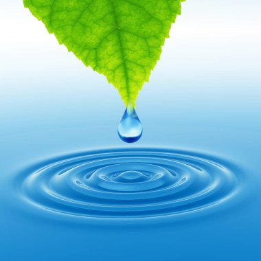 Kavram ya da kavramsal temiz kaynak suyu veya çiğ bırakın dalgalar yapma 3d illüstrasyon mavi temiz su üzerinde yeşil bir taze yaprak düşüyor