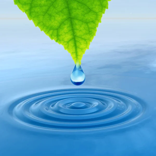 Концепция Концептуальная Чистая Родниковая Вода Капли Росы Падающие Зеленого Свежего — стоковое фото