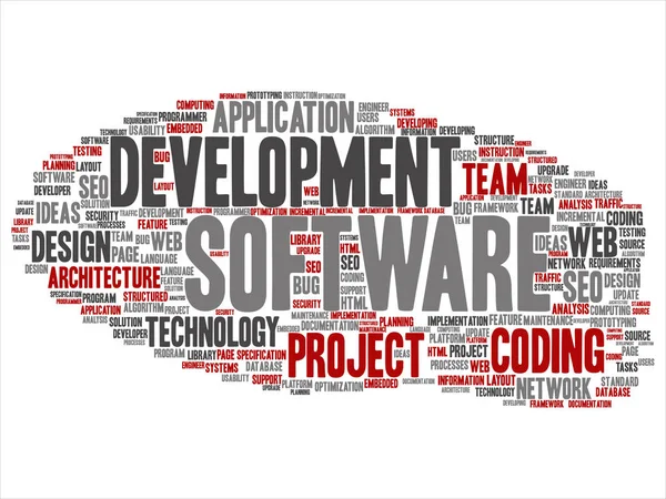 Concept Conceptual Software Development Project Coding Technology Abstract Word Cloud — Stock Photo, Image