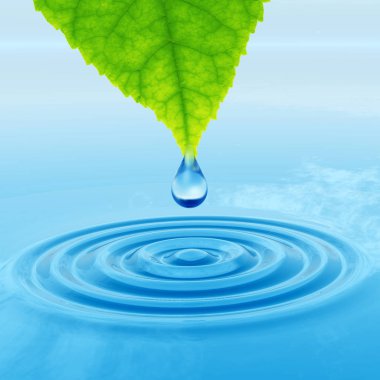 Kavram ya da kavramsal temiz kaynak suyu veya çiğ bırakın Yeşil taze yaprak düşüyor