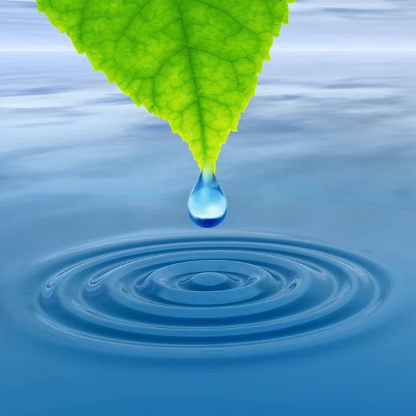 Concept or conceptual clean spring water or dew drop falling from green fresh leaf