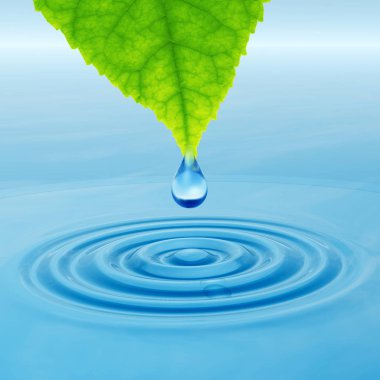 Kavram ya da kavramsal temiz kaynak suyu veya çiğ bırakın Yeşil taze yaprak düşüyor. 