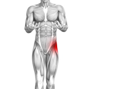 Kırmızı inflamasyon ile kavramsal insan anatomisi