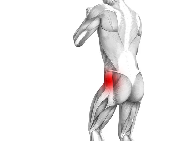 Anatomia Umana Concettuale Con Infiammazione Rossa — Foto Stock