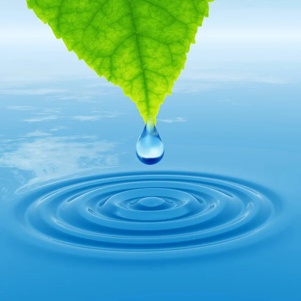 Concept Conceptual Clean Spring Water Dew Drop Falling Green Fresh — Stock Photo, Image