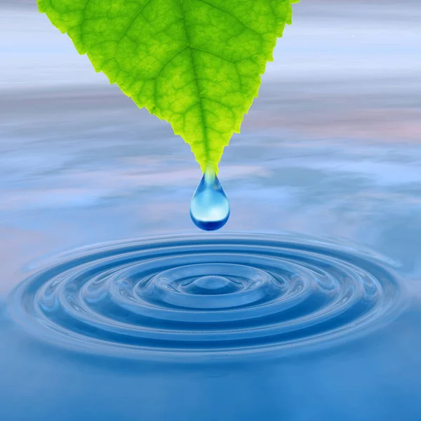 Concept Conceptual Clean Spring Water Dew Drop Falling Green Fresh — Stock Photo, Image