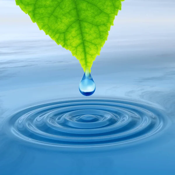 Концепция Концептуальная Чистая Родниковая Вода Капли Росы Падают Зеленого Свежего — стоковое фото