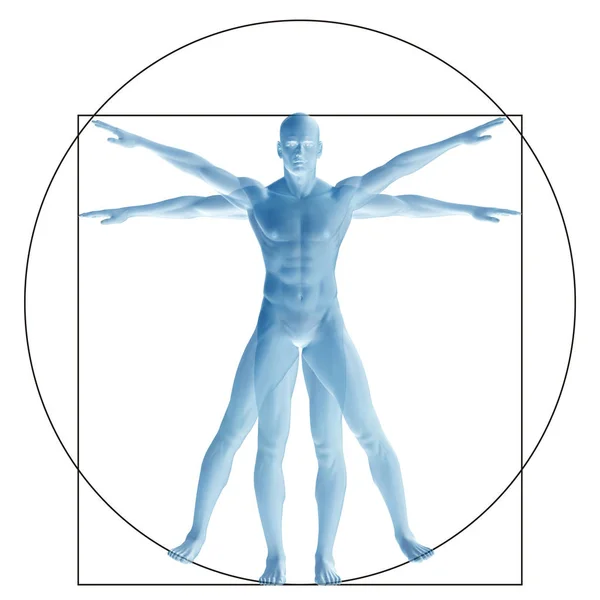 Vitruvian Menselijke Als Concept — Stockfoto