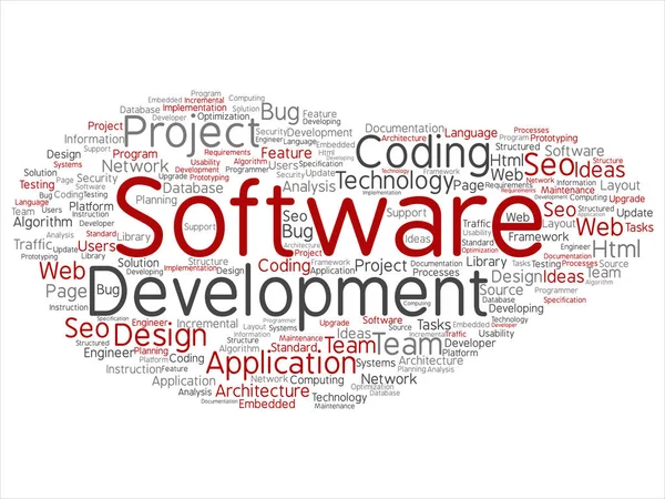 Conceito Vetor Desenvolvimento Software Conceitual Tecnologia Codificação Projeto Nuvem Palavras — Vetor de Stock