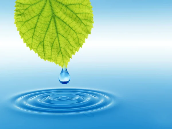 Concept or conceptual clean spring water or dew drop falling from green fresh leaf.