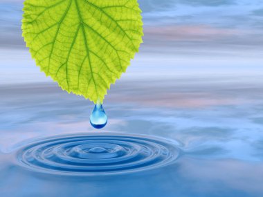 Kavram ya da kavramsal temiz kaynak suyu veya çiğ bırakın dalgalar yapma 3d illüstrasyon mavi temiz su üzerinde yeşil bir taze yaprak düşüyor