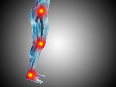 İnsan anatomisi alt beden veya sağlık tasarım, ortak ya da eklem ağrısı, ağrı ya da yaralanma gri degrade arka plan üzerinde kavramsal 3d çizimi