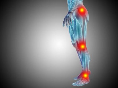 İnsan anatomisi alt beden veya sağlık tasarım, ortak ya da eklem ağrısı, ağrı ya da yaralanma gri degrade arka plan üzerinde kavramsal 3d çizimi