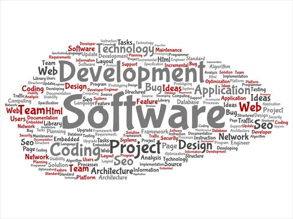 Concepto Desarrollo Software Conceptual Proyecto Codificación Tecnología Abstracta Palabra Nube — Foto de Stock