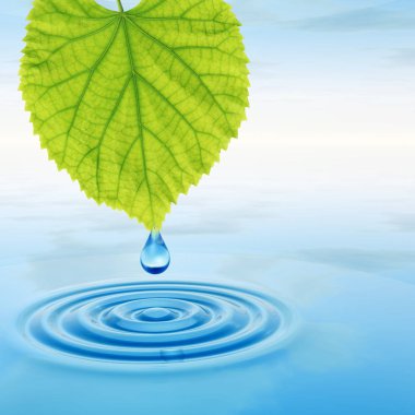 Kavram ya da kavramsal temiz kaynak suyu veya çiğ bırakın dalgalar yapma 3d illüstrasyon mavi temiz su üzerinde yeşil bir taze yaprak düşüyor