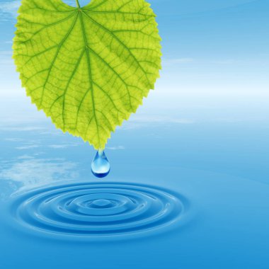 Kavram ya da kavramsal temiz kaynak suyu veya çiğ bırakın dalgalar yapma 3d illüstrasyon mavi temiz su üzerinde yeşil bir taze yaprak düşüyor