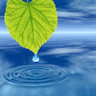Kavram ya da kavramsal temiz kaynak suyu veya çiğ bırakın dalgalar yapma 3d illüstrasyon mavi temiz su üzerinde yeşil bir taze yaprak düşüyor