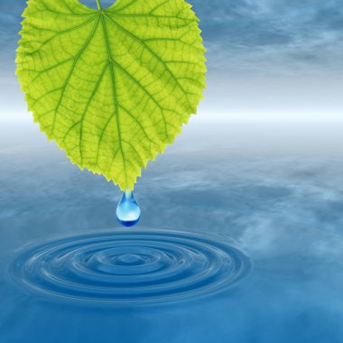 Kavram ya da kavramsal temiz kaynak suyu veya çiğ bırakın dalgalar yapma 3d illüstrasyon mavi temiz su üzerinde yeşil bir taze yaprak düşüyor