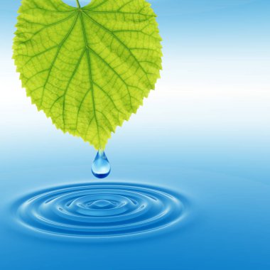 Kavram ya da kavramsal temiz kaynak suyu veya çiğ bırakın dalgalar yapma 3d illüstrasyon mavi temiz su üzerinde yeşil bir taze yaprak düşüyor
