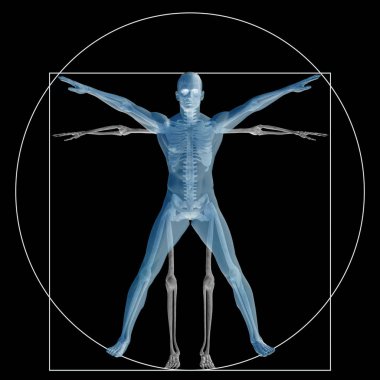 Vitruvius insan veya insan kavramı mecaz kavramsal 3d oran anatomi vücut üzerinde arka izole olarak