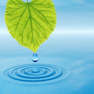 Kavram ya da kavramsal temiz kaynak suyu veya çiğ bırakın dalgalar yapma 3d illüstrasyon mavi temiz su üzerinde yeşil bir taze yaprak düşüyor