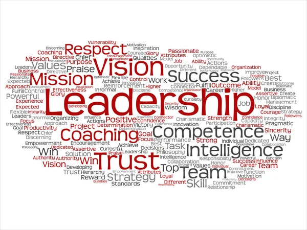 Kavram Kavramsal Liderlik Strateji Yönetim Değer Kelime Bulutu Arka Plan — Stok fotoğraf