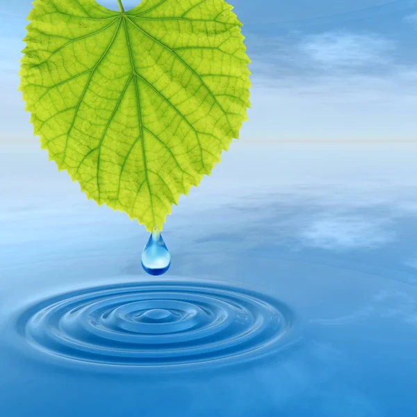 Concept Conceptual Clean Spring Water Dew Drop Falling Green Fresh — Stock Photo, Image
