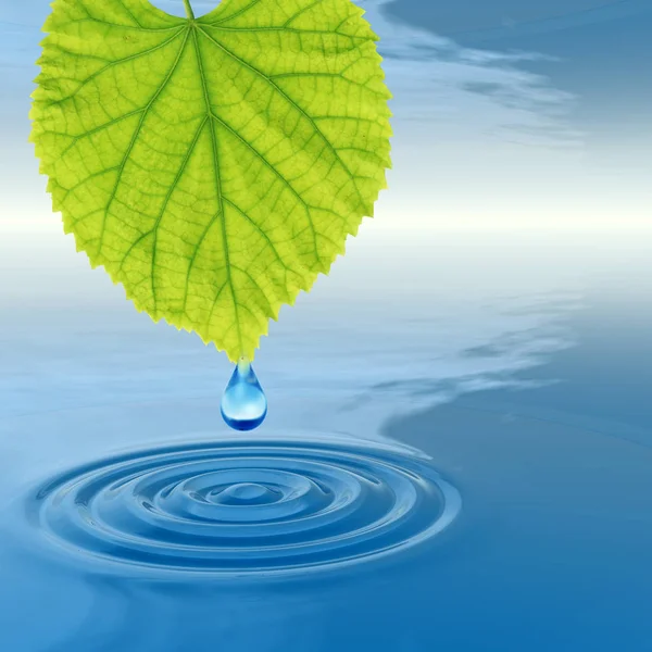 Concept or conceptual clean spring water or dew drop falling from a green fresh leaf on 3D illustration blue clear water making waves