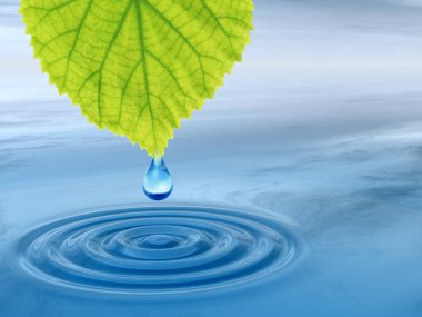 Kavram ya da kavramsal temiz kaynak suyu veya çiğ bırakın dalgalar yapma 3d illüstrasyon mavi temiz su üzerinde yeşil bir taze yaprak düşüyor