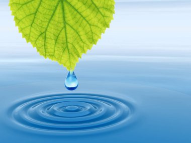 Kavram ya da kavramsal temiz kaynak suyu veya çiğ bırakın dalgalar yapma 3d illüstrasyon mavi temiz su üzerinde yeşil bir taze yaprak düşüyor