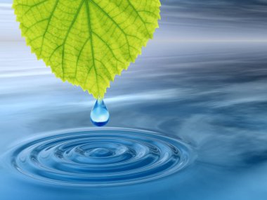 Kavram ya da kavramsal temiz kaynak suyu veya çiğ bırakın dalgalar yapma 3d illüstrasyon mavi temiz su üzerinde yeşil bir taze yaprak düşüyor
