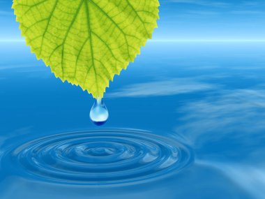 Kavram ya da kavramsal temiz kaynak suyu veya çiğ bırakın dalgalar yapma 3d illüstrasyon mavi temiz su üzerinde yeşil bir taze yaprak düşüyor