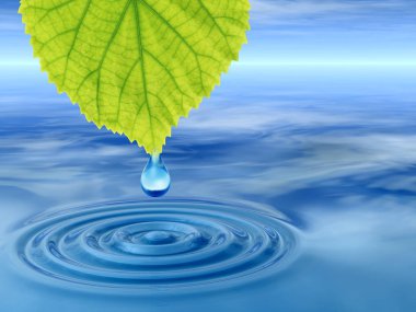 Kavram ya da kavramsal temiz kaynak suyu veya çiğ bırakın dalgalar yapma 3d illüstrasyon mavi temiz su üzerinde yeşil bir taze yaprak düşüyor