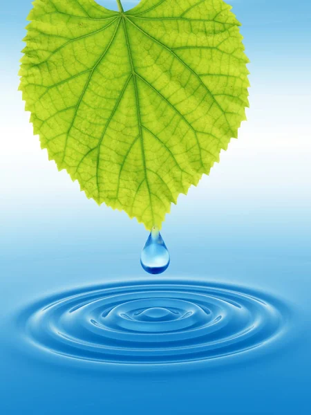 Concept or conceptual clean spring water or dew drop falling from a green fresh leaf on 3D illustration blue clear water making waves