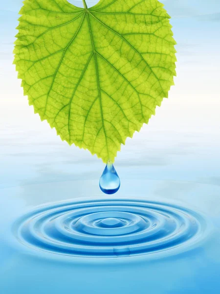 Concept or conceptual clean spring water or dew drop falling from a green fresh leaf on 3D illustration blue clear water making waves