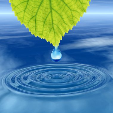 Kavram ya da kavramsal temiz kaynak suyu veya çiğ bırakın dalgalar yapma 3d illüstrasyon mavi temiz su üzerinde yeşil bir taze yaprak düşüyor