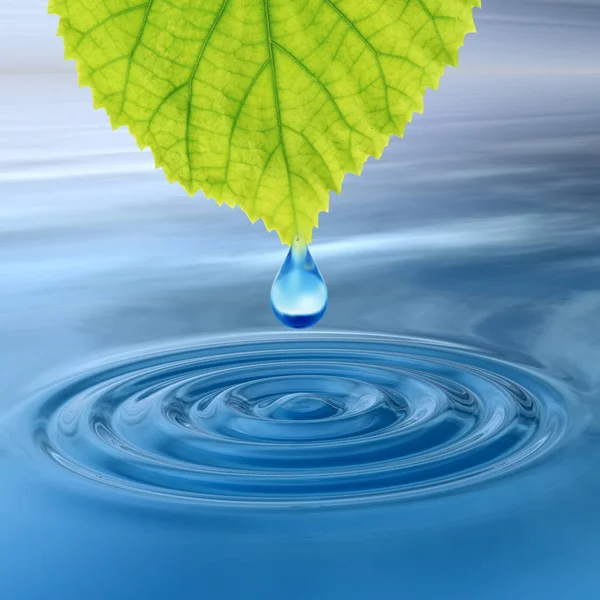 Концепция Концептуальная Чистая Родниковая Вода Капли Росы Падающие Зеленого Свежего — стоковое фото