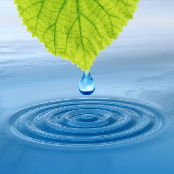 概念或概念洁净的泉水或露滴上兴风作浪的 图蓝色清水从新鲜绿叶飘落 — 图库照片
