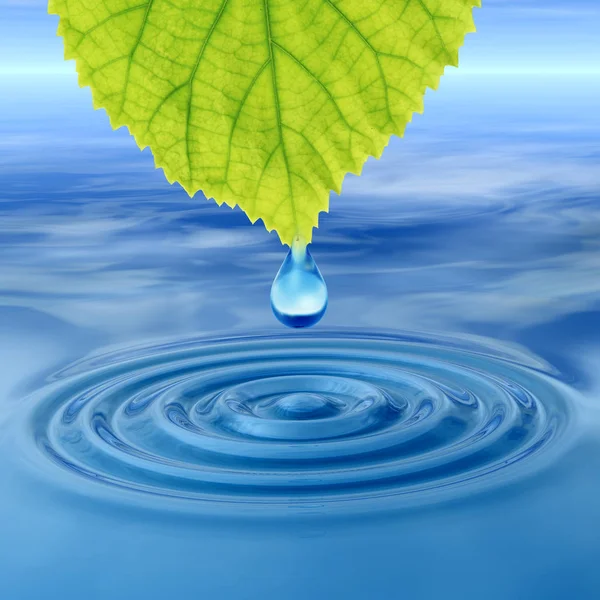 Concept or conceptual clean spring water or dew drop falling from a green fresh leaf on 3D illustration blue clear water making waves