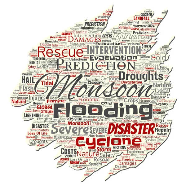 Векторный Концептуальный Муссон Опасная Погода Старый Рваный Бумажный Метеорологический Слово — стоковый вектор