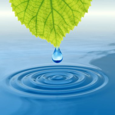 Kavram ya da kavramsal temiz kaynak suyu veya çiğ bırakın dalgalar yapma 3d illüstrasyon mavi temiz su üzerinde yeşil bir taze yaprak düşüyor