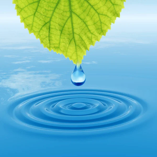 Concept or conceptual clean spring water or dew drop falling from a green fresh leaf on 3D illustration blue clear water making waves