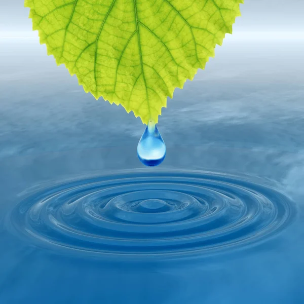 Concept or conceptual clean spring water or dew drop falling from a green fresh leaf on 3D illustration blue clear water making waves