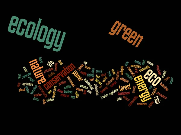 Hoge resolutie concept of conceptuele abstracte groene ecologie en instandhouding word cloud-tekst geïsoleerd op achtergrond — Stockfoto