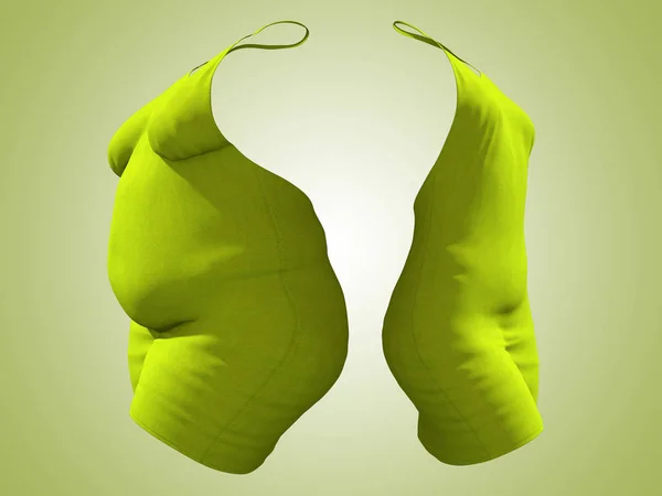 Концептуальный жир избыточный вес ожирением женский наряд платье vs стройный подходят здоровое тело после потери веса или диеты худенькая молодая женщина на зеленом. Фитнес, питание или ожирение в форме 3D иллюстрации — стоковое фото