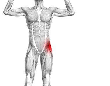 Kırmızı sıcak nokta inflamasyon eklem eklem ağrısı için bacak sağlık tedavi veya spor kas kavramı ile kavramsal hip insan anatomisi. 3D çizim adam artrit veya kemik boğaz osteoporoz hastalığı