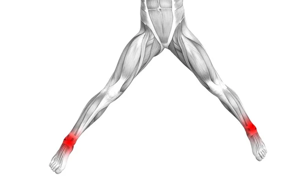 Konzeptionelle Anatomie des menschlichen Fußgelenks mit einer Entzündung des roten Flecks oder Gelenkschmerzen für die Beintherapie oder Sportmuskelkonzepte. 3D Illustration Mann Arthritis oder Knochen-Osteoporose-Erkrankung — Stockfoto