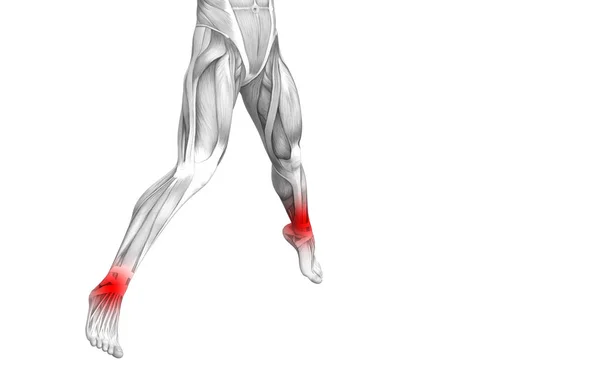 Anatomía humana conceptual del tobillo con inflamación del punto caliente rojo o dolor articular en las articulaciones para la terapia de cuidado de la salud de las piernas o conceptos musculares deportivos. Ilustración 3D hombre artritis u osteoporosis ósea enfermedad — Foto de Stock