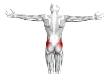 Kırmızı sıcak nokta inflamasyon eklem eklem ağrısı için bacak sağlık tedavi veya spor kas kavramı ile kavramsal hip insan anatomisi. 3D çizim adam artrit veya kemik boğaz osteoporoz hastalığı